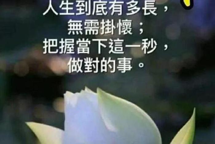 佛语晨起文案（早起佛语）