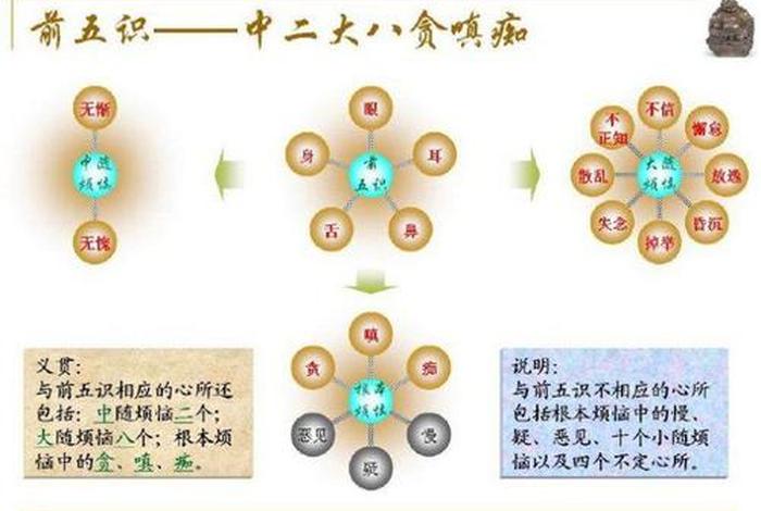 佛教的八识 - 佛教的八识是哪八识
