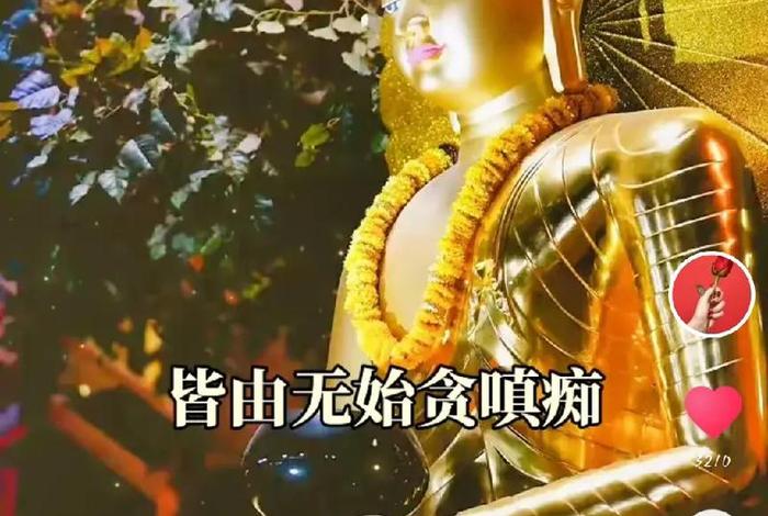佛教中不积德、佛教中不积德的意思