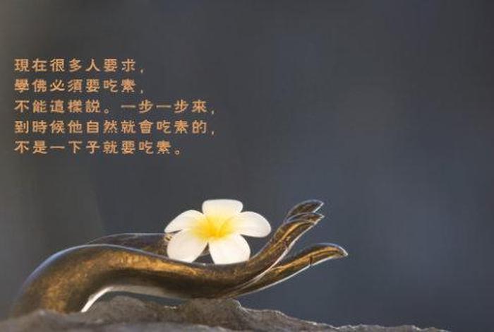 学佛必须得吃素吗；学佛不一定要吃素