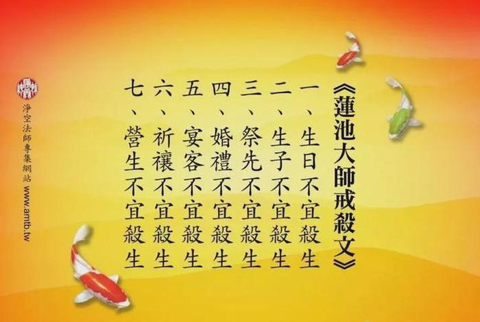 最好的佛教放生文、佛教放生有何功德