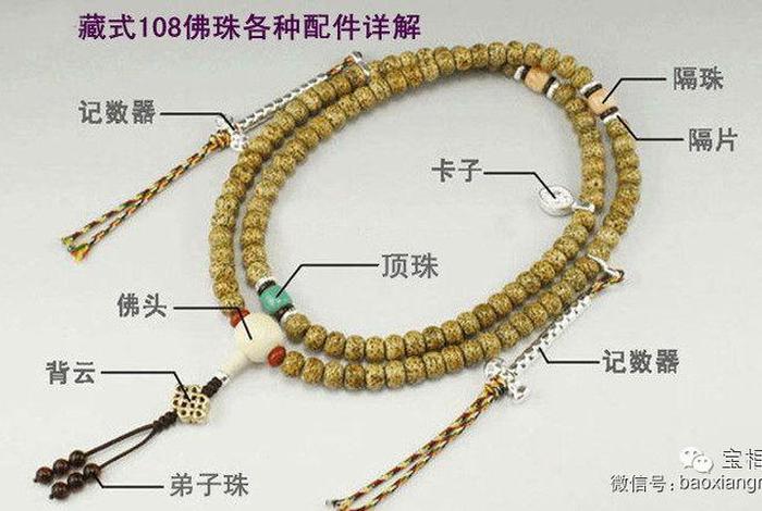 佛教的六根是什么，佛教中的六根是指