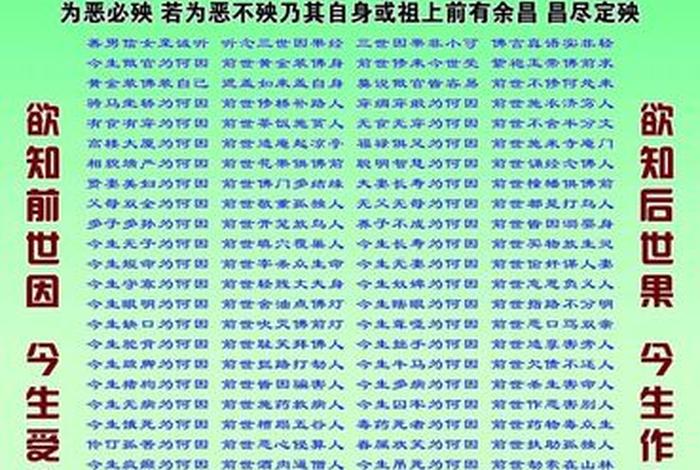 佛教业力的真相，佛教的业力因果