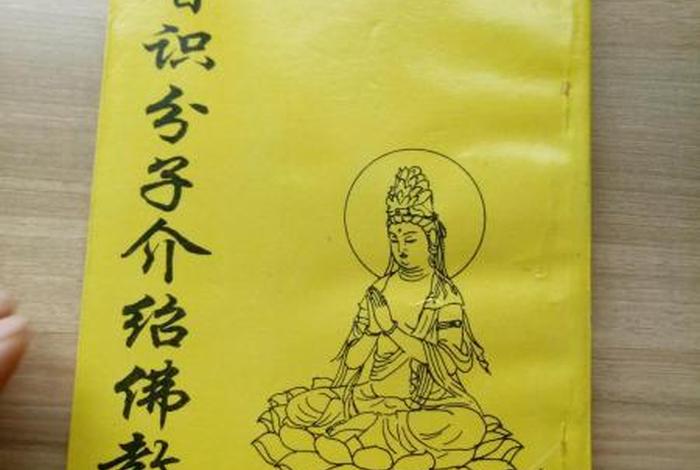 于凌波向知识分子介绍佛教视频，于凌舜简介