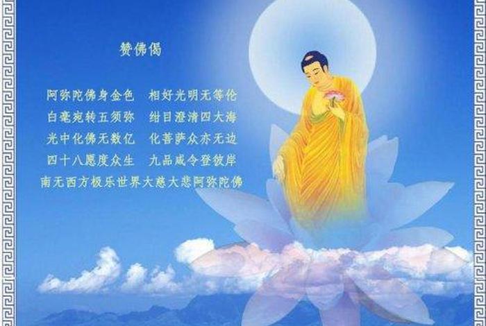 佛教陈大惠老师讲课（陈大惠老师佛号）