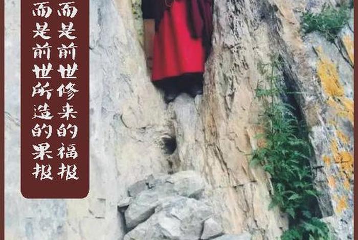 慈悲心的真正含义 - 慈悲的最高境界是什么