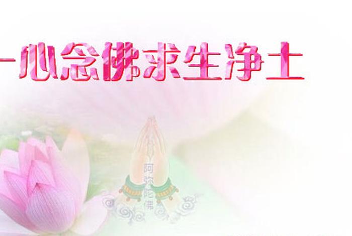 佛教知识什么是三身四智的（佛法三身四智）