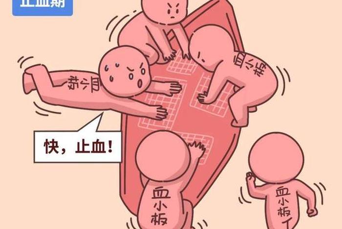以血止血下一句是什么，以血止血下一句是什么意思