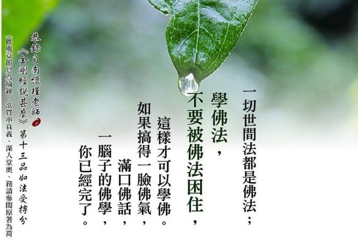 一切佛法总不用学（佛法没用）
