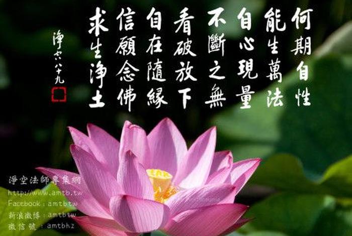 学佛要学什么 - 学佛学什么法门最好