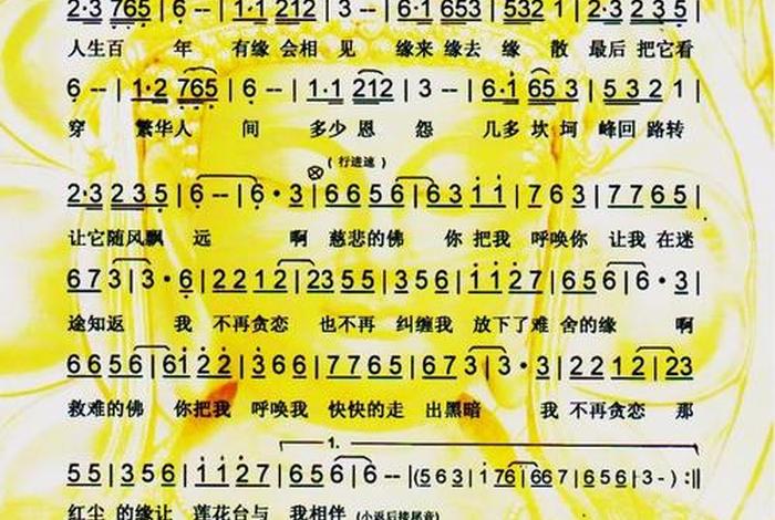 佛教云泉法师放生 云泉法师歌曲大全放下尘缘