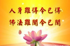 反佛教的语言（反佛教贴吧）