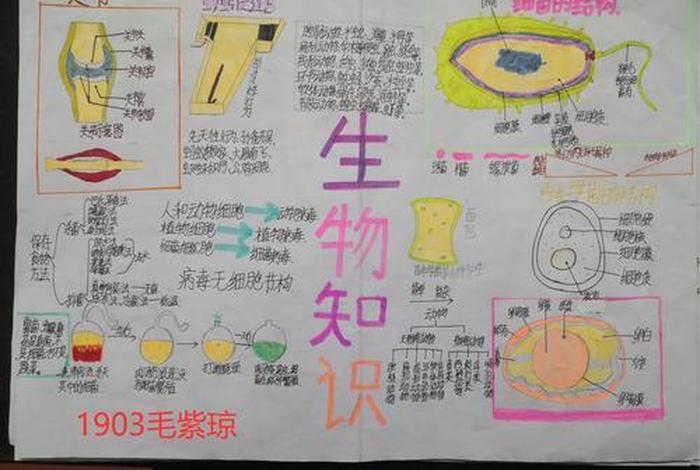 微生物的利与弊，微生物的利与弊手抄报