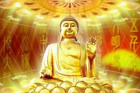 佛教文化的视频素材（佛教视频素材下载）