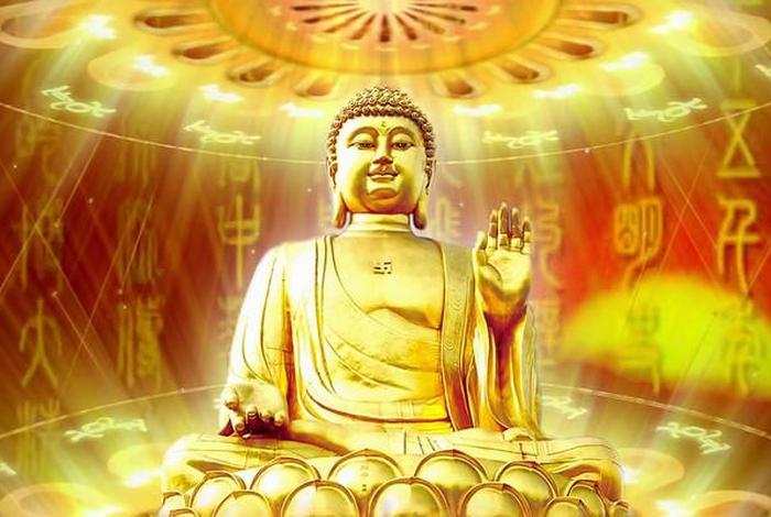 佛教文化的视频素材（佛教视频素材下载）