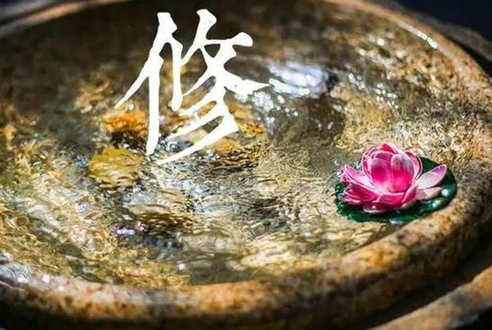 通过学佛你觉悟到了什么？、学佛得到了什么