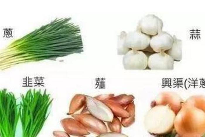 佛教五辛是五种食物吗，佛教说的五辛是什么