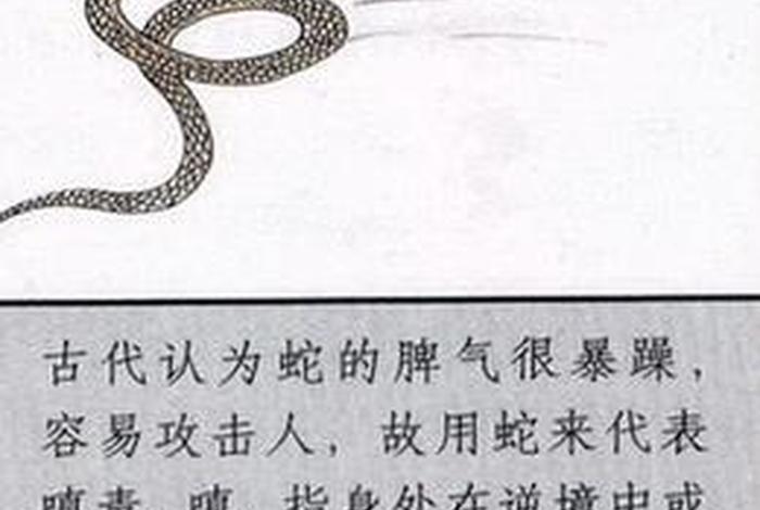 三毒佛教、佛教三毒怎么读