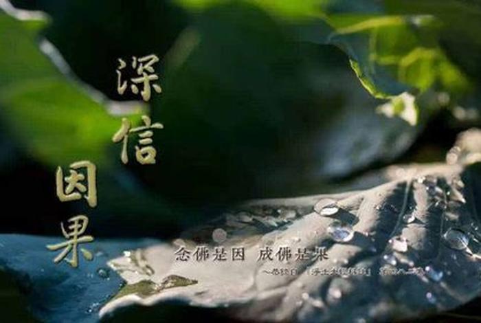 我老公开始学佛教知识怎么办；丈夫学佛我跟他离婚了
