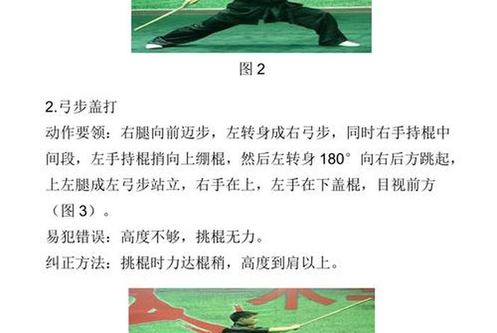 少林寺武术解析 少林寺武术指导