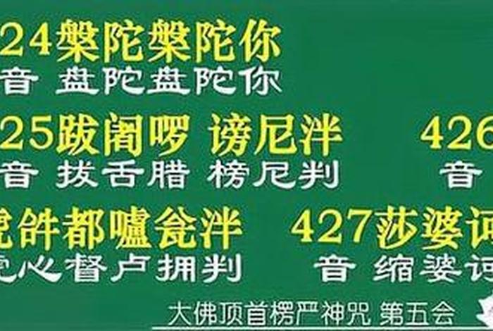 佛教课程视频、佛教教程视频