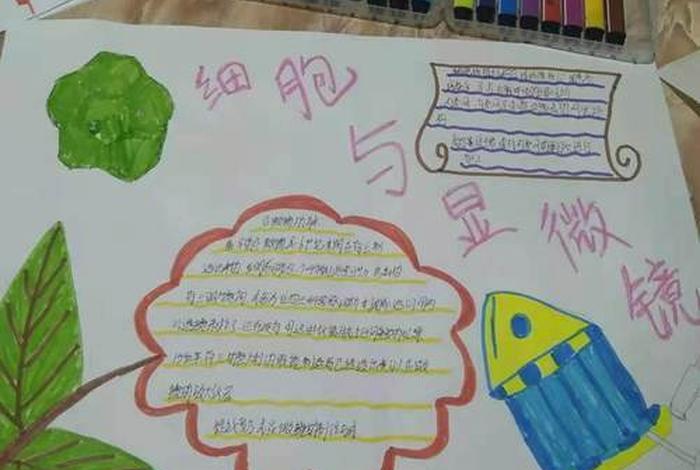 微生物的利与弊，微生物的利与弊手抄报