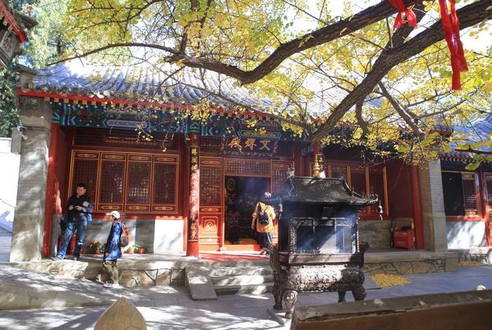 大悲古寺实录，大悲古寺2021最新视频