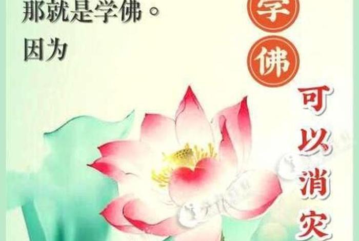 佛说人生短语 佛说人生哲理句子