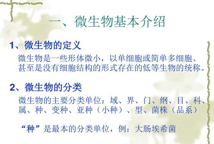 微生物相关知识视频讲解；微生物基础知识讲解