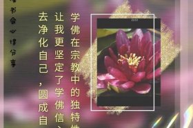 佛法读书会心得体会、学佛读书会