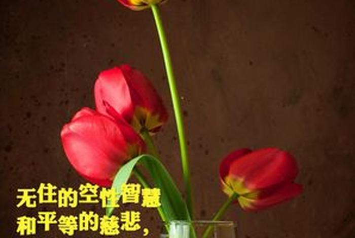佛学的慈悲和智慧 慈悲与智慧