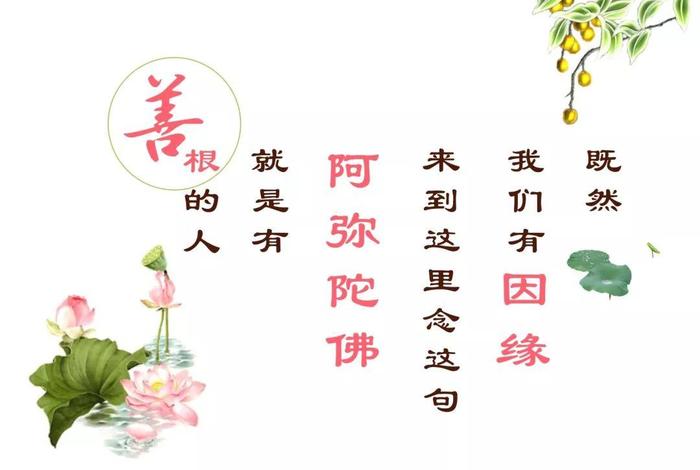 佛教语言怎么说谢谢 用佛教语言表达感谢