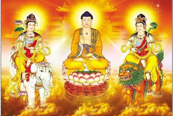 佛教知识科普合集下载百度云；佛教知识科普合集下载百度云资源