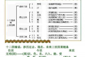 佛教理论如何学好的知识点，佛教怎么学