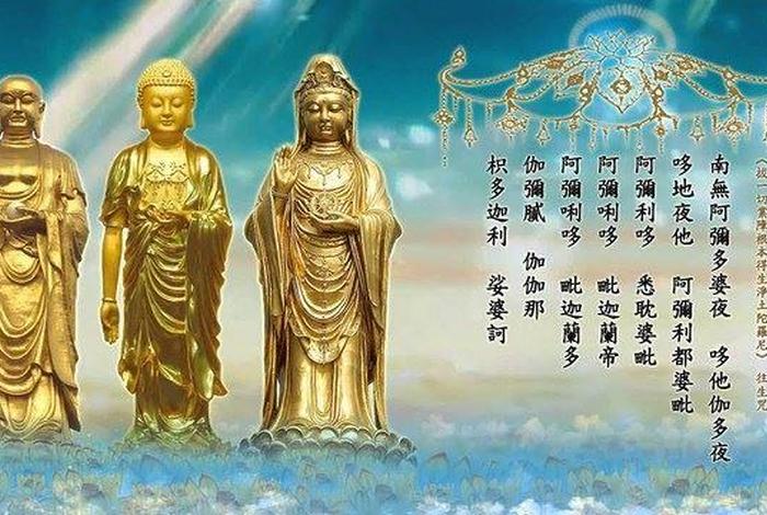 佛教中慧的意思 佛教里的慧