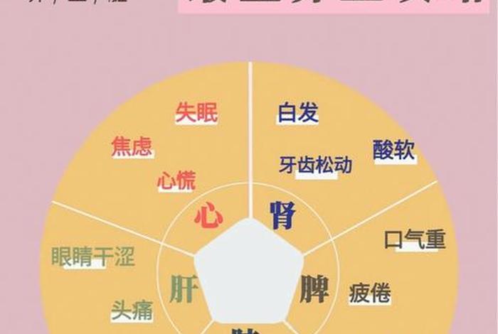 佛教保养五脏六腑知识讲解、佛教的养生之道