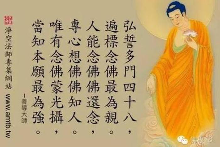 念佛心德体会；念佛人怎样写感想