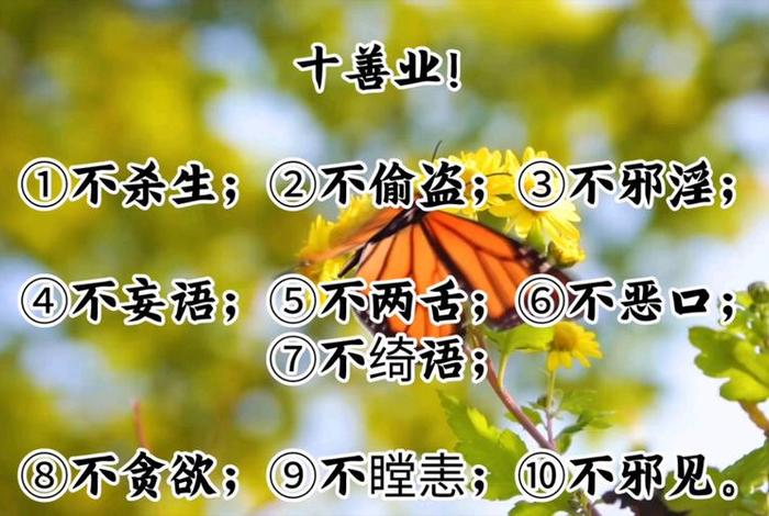 十善道讲解 十善业道视频