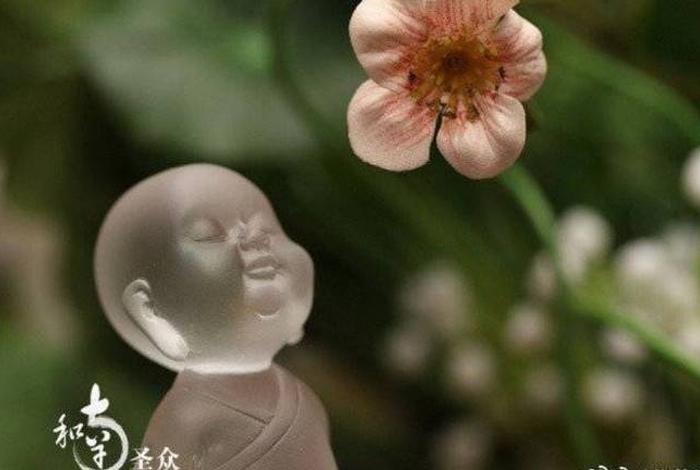 佛学最灵性的四句话，佛学最灵性的四句话是什么
