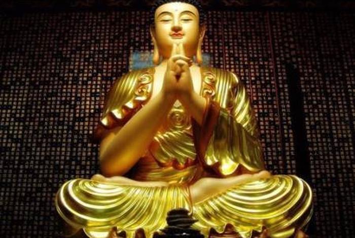 佛学常识念佛有用吗视频讲解 - 佛学常识念佛有用吗视频讲解大全