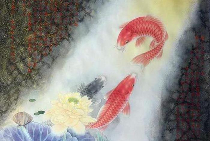 鱼有佛性的感悟、鱼的佛语禅心