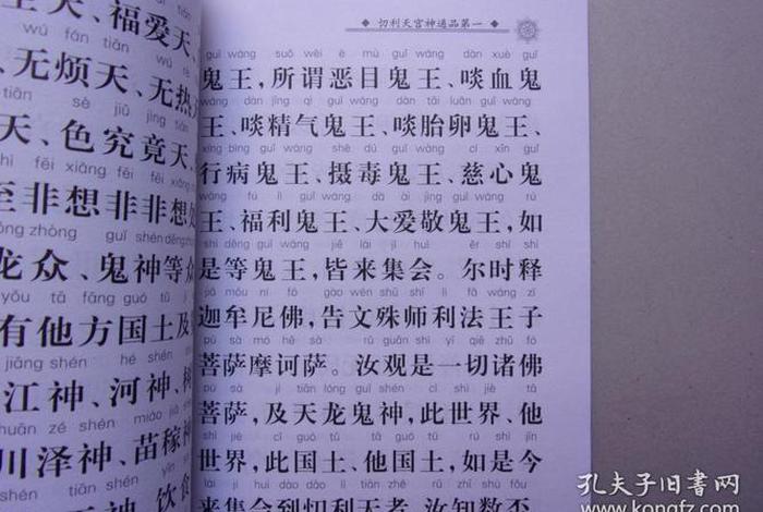 地藏菩萨本愿经的讲解，地藏菩萨本愿经讲解净空12佛陀教育网