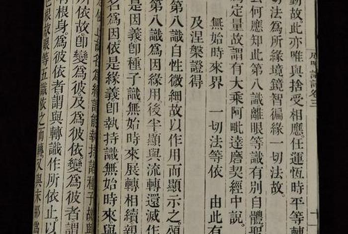 佛教的唯识论合理吗（佛法唯识论）