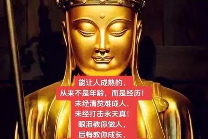 佛教醒悟图片 - 佛教醒悟的成语