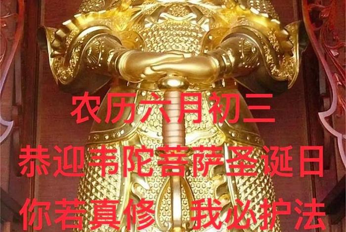 佛教护法大全 佛教护法什么意思