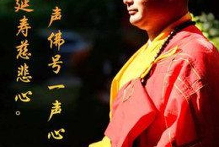 经典佛学全集视频，著名佛学视频
