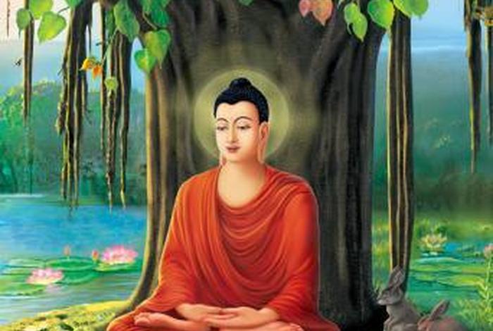 佛教动画视频 - 佛教动画视频观无量寿经