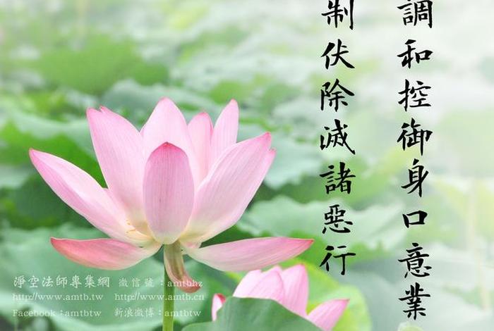 净空寓意是什么意思 净空的含义