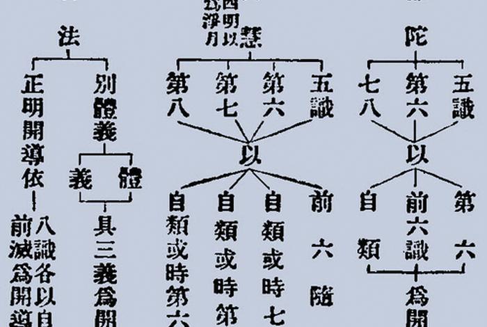 佛教八识阿赖耶识的功能；阿赖耶识第八感