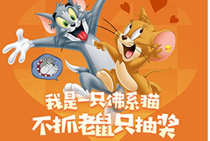 猫和老鼠佛系猫是什么意思，猫和老鼠佛系猫磊哥